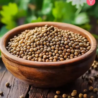 Coriander Seeds 1